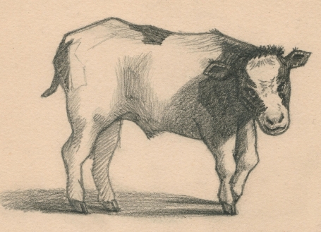 Kiwi Fraude slikken Buy a drawing of a calf by the Belgian artist Paul Van Dessel